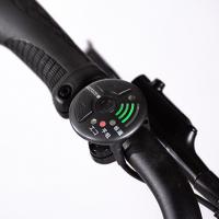 RITEWAY GLACIER E-CARGO